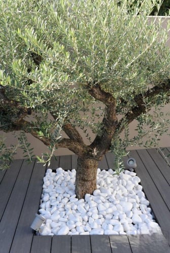 حجر زينة ابيض ثلجي 10 كيلو