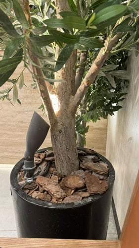 خشب زينة الحدائق