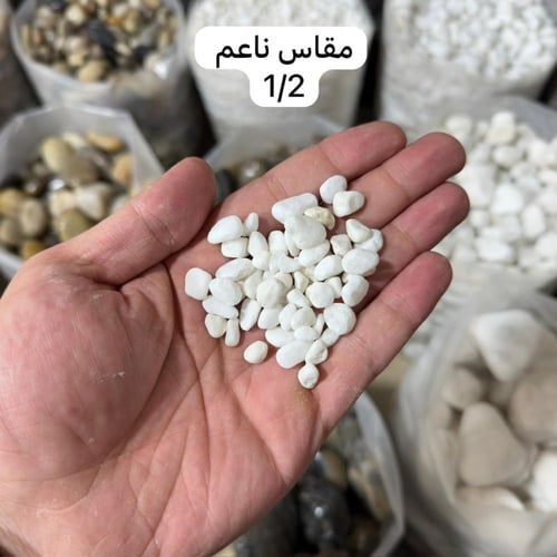 حجر زينة ابيض ثلجي 10 كيلو