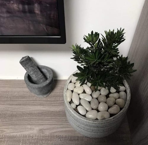 حجر زينة ابيض لمعة 10 كيلو