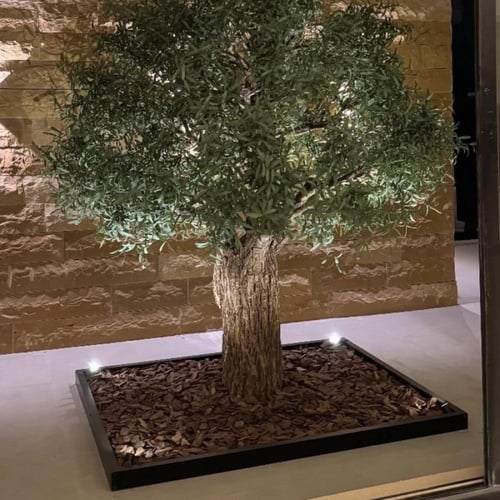 خشب زينة الحدائق