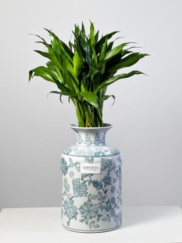 زخرف فازة بامبو مجدول ( كبير فاتح )