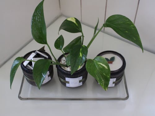 هدية سكون ( داخل الرياض فقط )