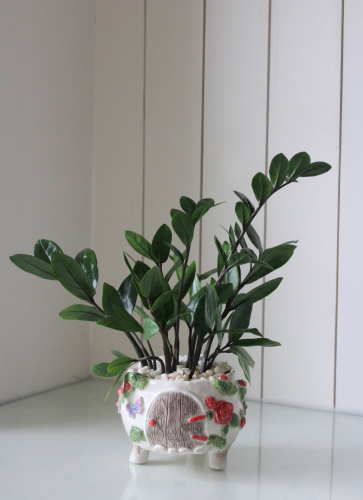 زاميـا صناعة يدوية تصميم ( جادة )