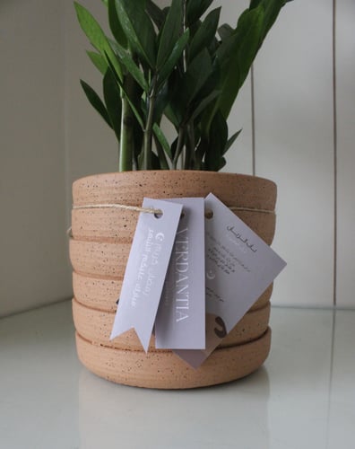 الريان ( طيني )