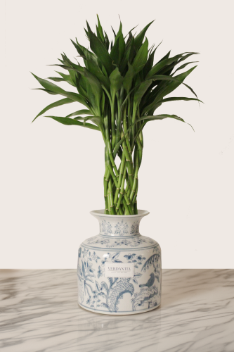 زخرف فازة بامبو مجدول ( صغير )