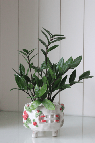 زاميـا صناعة يدوية تصميم ( جادة )