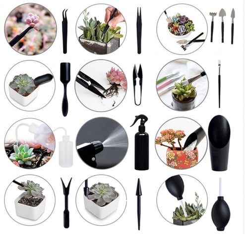 صندوق ادوات زراعية للنباتات الداخليه