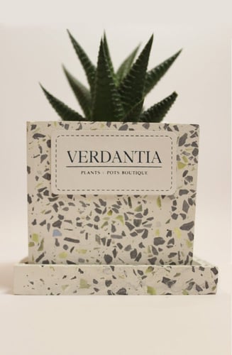 حوراء القصر في مركن سديم مربع صغير