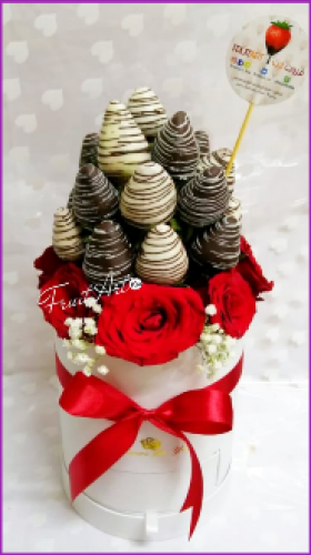 البوكس المخطط