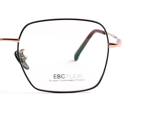 S1003 - EBC FLEXI