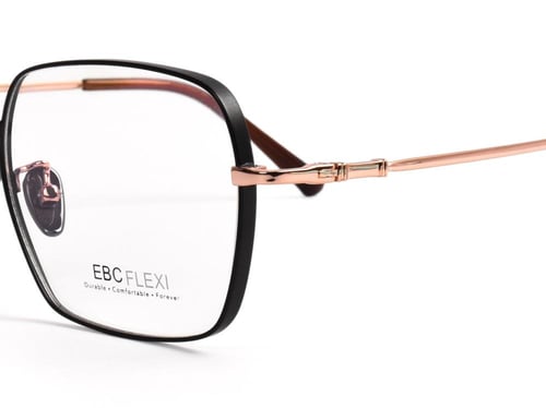 S1003 - EBC FLEXI