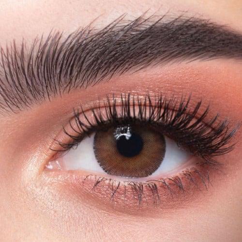 • عدسات - ذهب ارجان