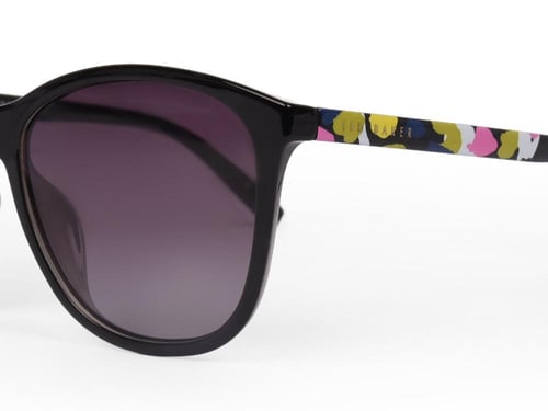 تيد بيكر - DELFI 1646