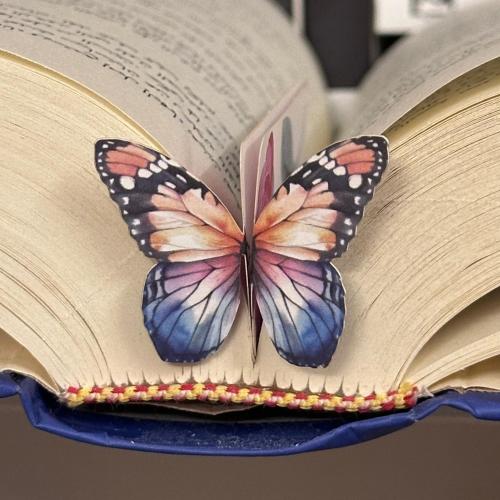 فاصل فراشة ملونة