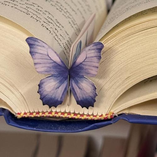 فاصل فراشة زرقاء