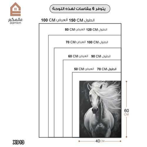 لوحة كانفس خيل