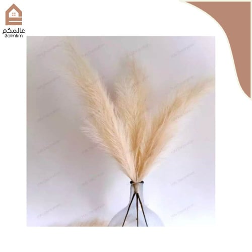 عشب بامباس الطبيعي حجم وسط (لون البيج)