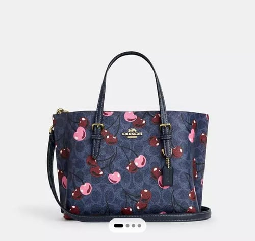 Mollie Tote Bag 25 In Signature Canvas With Cherry...