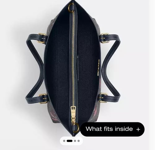 Mollie Tote Bag 25 In Signature Canvas With Cherry...