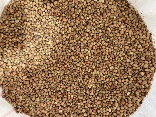 لوبيا حمراء كيلو