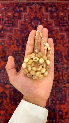 قرن جاموس -