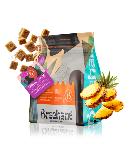 بريهانت | سان أجناسيو كوستاريكا | 250 جرام