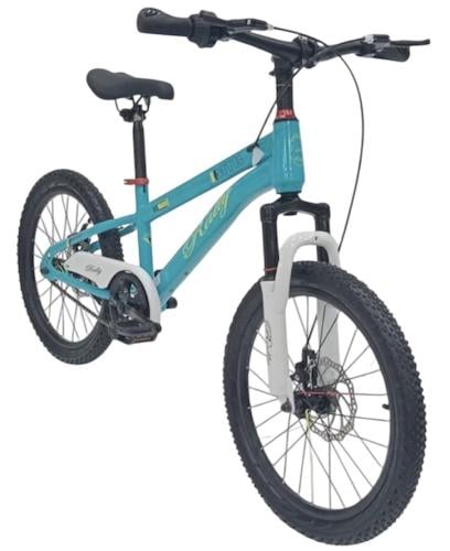 دراجة جبلية مقاس 20