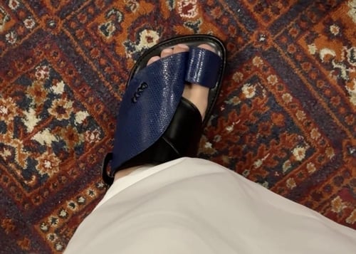 سحلية كحلي طبيعي