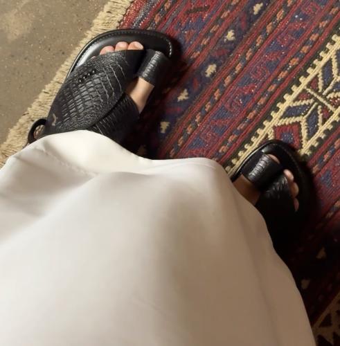 ظهر تمساح اسود