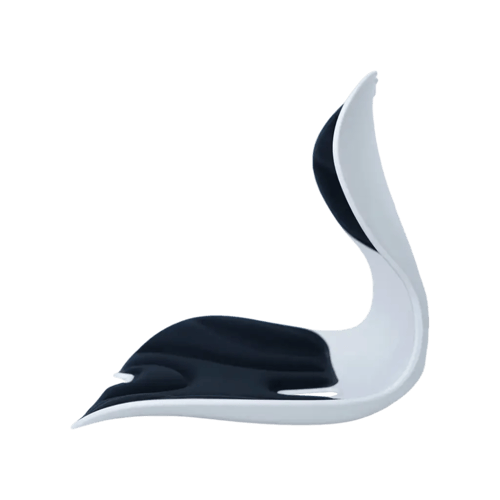 وسادة مقعد Green Lion Ergo - أسود