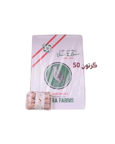 50 كرتون سمان مجمد شامل التوصيل داخل السعودية