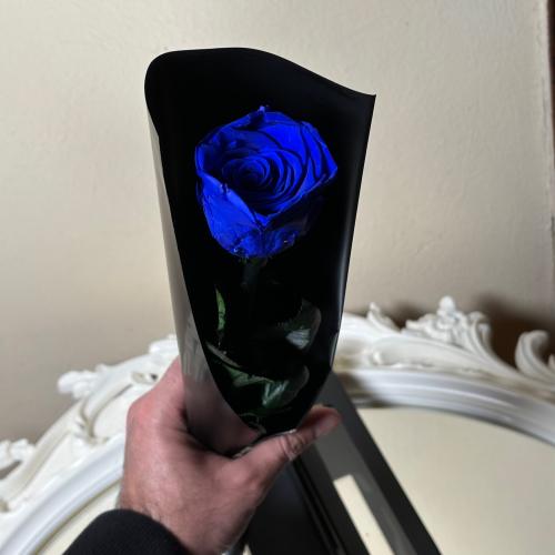 ورد دائم طبيعي معالج يعيش سنتين اواكثر