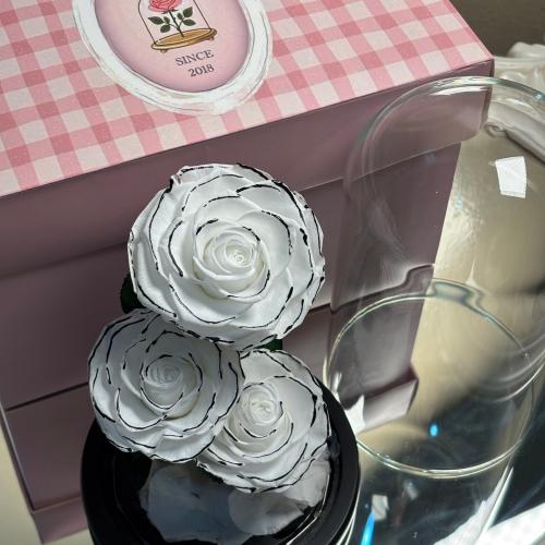 ورد دائم طبيعي معالج يعيش سنتين اواكثر