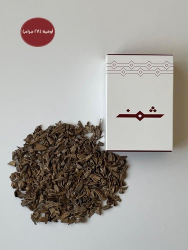 ميني موري يومي