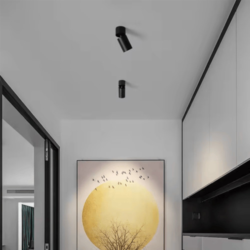 QTS-ZD1009 سلندر متحرك