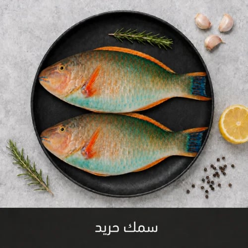 1 كيلو سمك الحريد