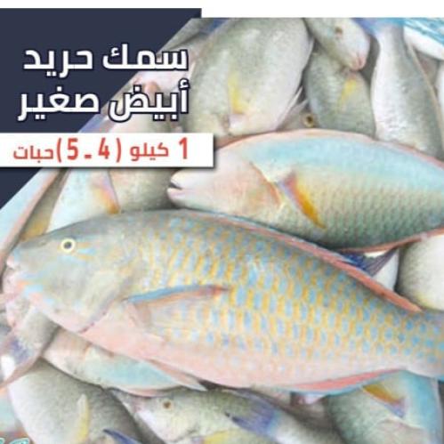 1 كيلو سمك الحريد