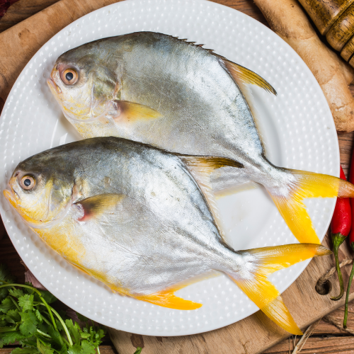 1 كيلو سمك زبيدي البحر الاحمر