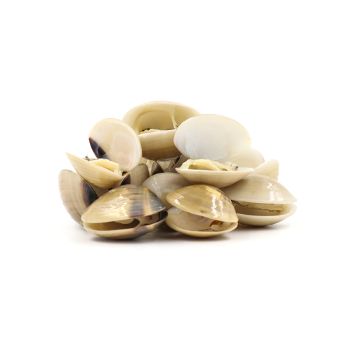 1 كيلو جندفلي ( اصداف البحر )