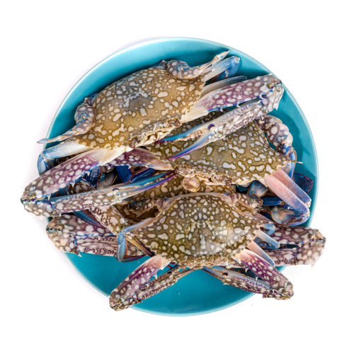 1 كيلو قباقب