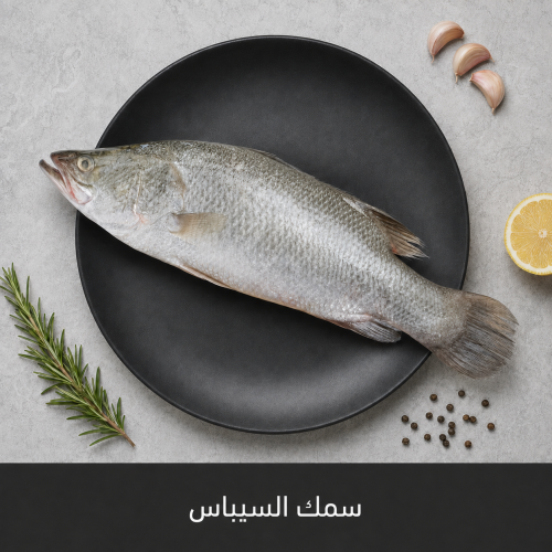 1 كيلو سمك السيباس