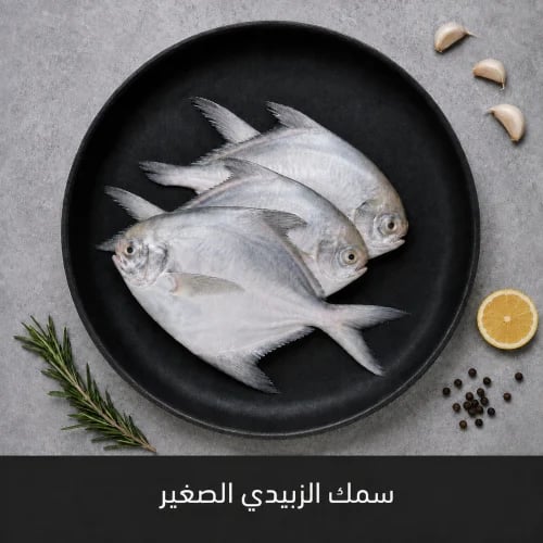 سمك زبيدي صغير