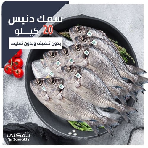 20 كيلو سمك دنيس