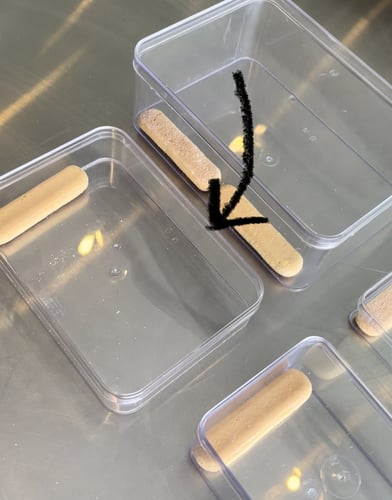 علب اكريلك/بلاسيتك مستطيلة A11