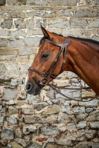 Difference Therapeuic" Bridle