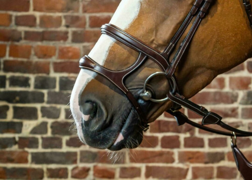 Double Noseband
