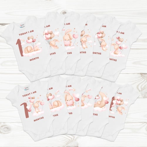 Set of 12 - Sleepy rabbit