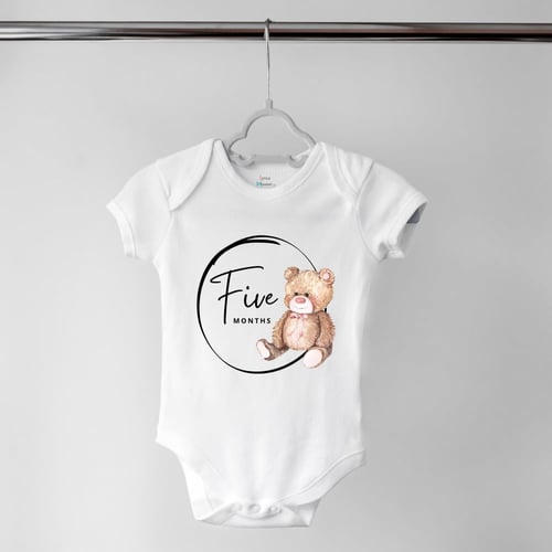 Set of 12 - Teddy bear