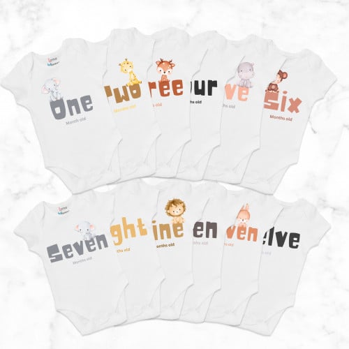 Set of 12 - Animals (1)